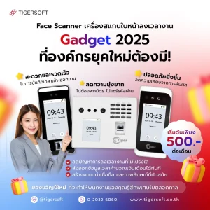 Image by Tigersoft