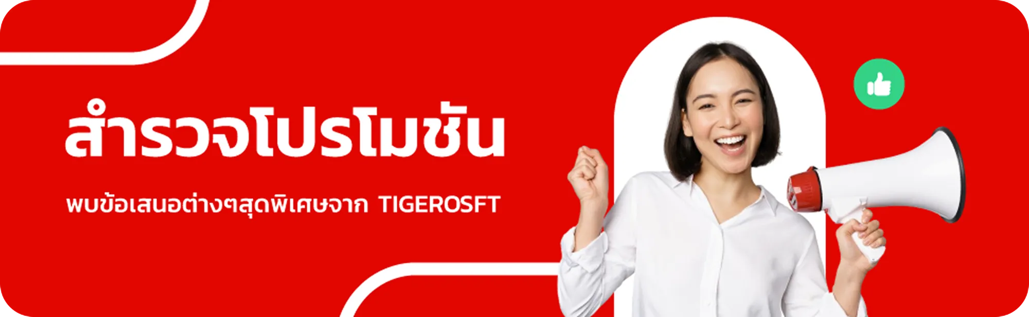 Visual element on Pricing - Tigersoft