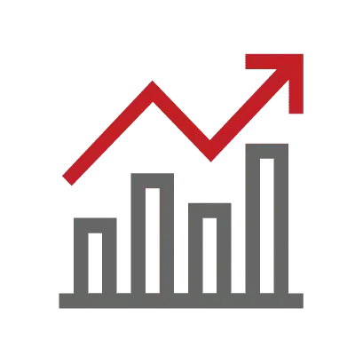 Visual element on Oracle NetSuite - Tigersoft
