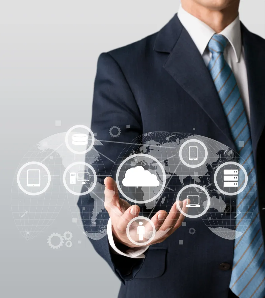 TIGERSOFT ITMS Platform for IT