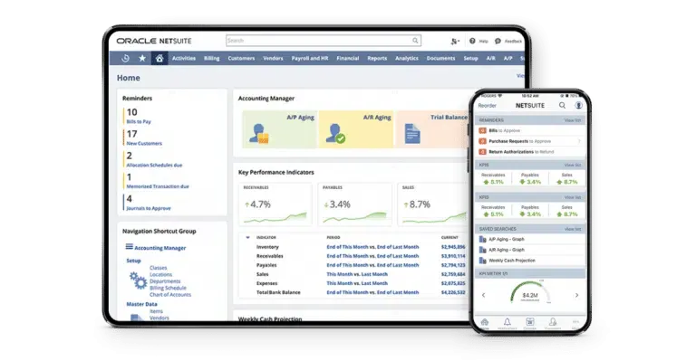 Visual element on Oracle NetSuite - Tigersoft