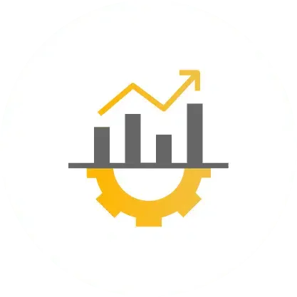 Visual element on SAP Business One - Tigersoft