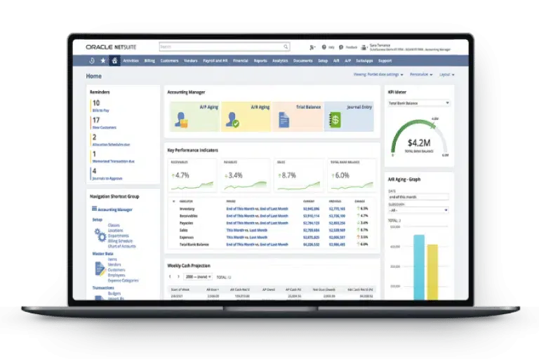 Visual element on Oracle NetSuite - Tigersoft