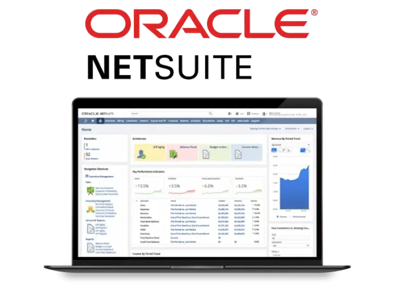 Visual element on Oracle NetSuite - Tigersoft
