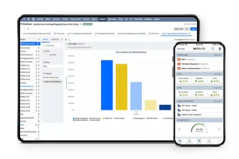 Visual element on Oracle NetSuite - Tigersoft