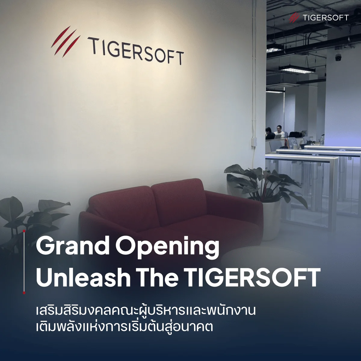 TigerSoft New Office Update