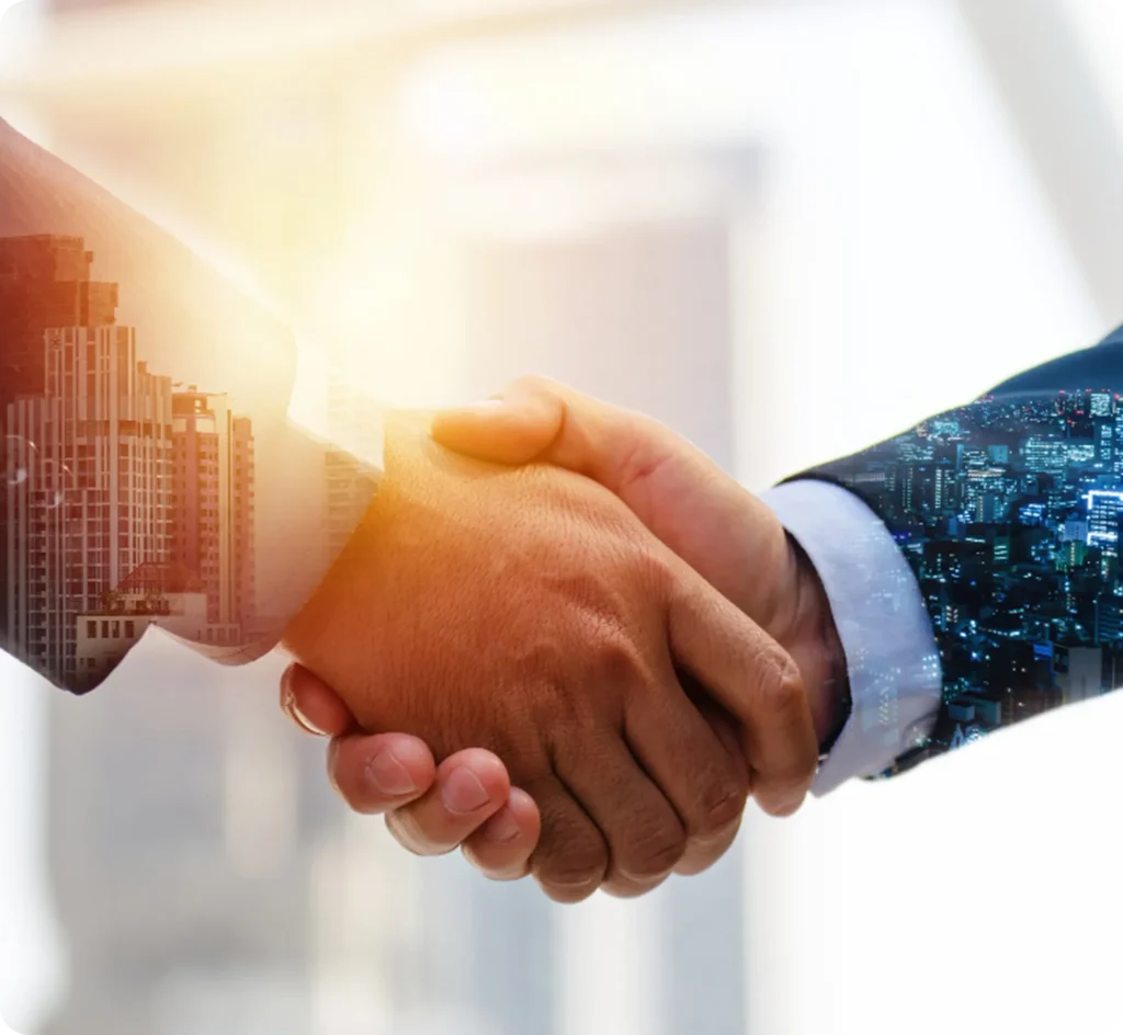 Tigersoft Partner Services