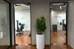 2025 TIGERSOFT New Office